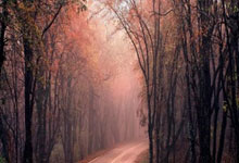 世体：巴萨方面正在研究法律漏洞，以将罗克卖给帕尔梅拉斯.