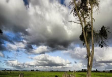 熊猫体育：开门红！U20男足亚洲杯中国队2∶1力克卡塔尔队.