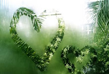 熊猫体育：奧運四強誕生 衛冕冠軍遺憾出局 世界杯冠軍驚險過關.